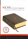 ESV Study Bible - Trutone Black